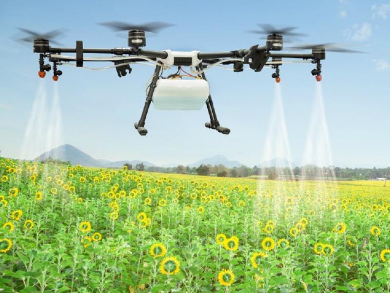  дронів у сільському господарстві