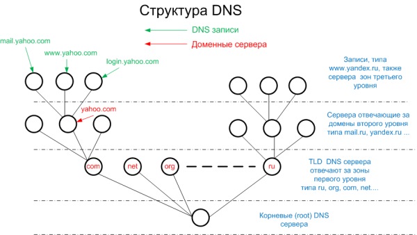 Графічно, структуру DNS коректніше представити у вигляді дерева