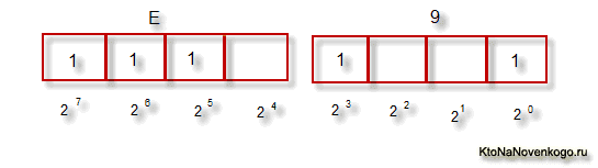 Один байт складається з восьми біт (в двійковій системі), кожен з яких представляє з себе двійку в ступені (починаючи з нульовою і до двійки в сьомий - вважається справа наліво), як показано на наведеному нижче малюнку: